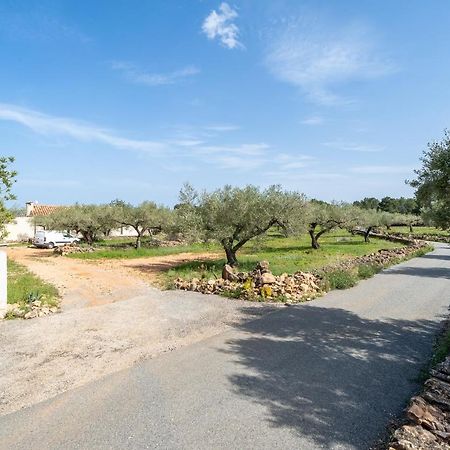 Casa En Olivera A 3 Km De La Costa El Perelló エクステリア 写真
