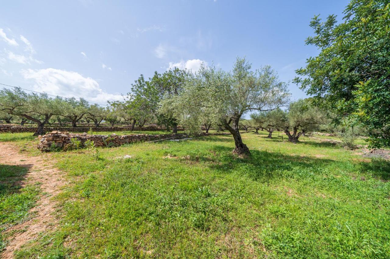Casa En Olivera A 3 Km De La Costa El Perelló エクステリア 写真