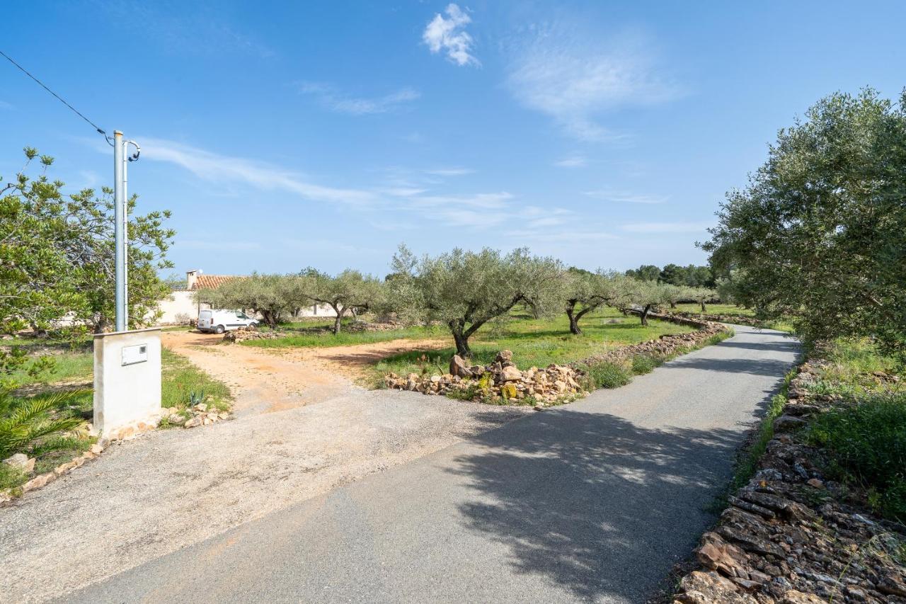 Casa En Olivera A 3 Km De La Costa El Perelló エクステリア 写真
