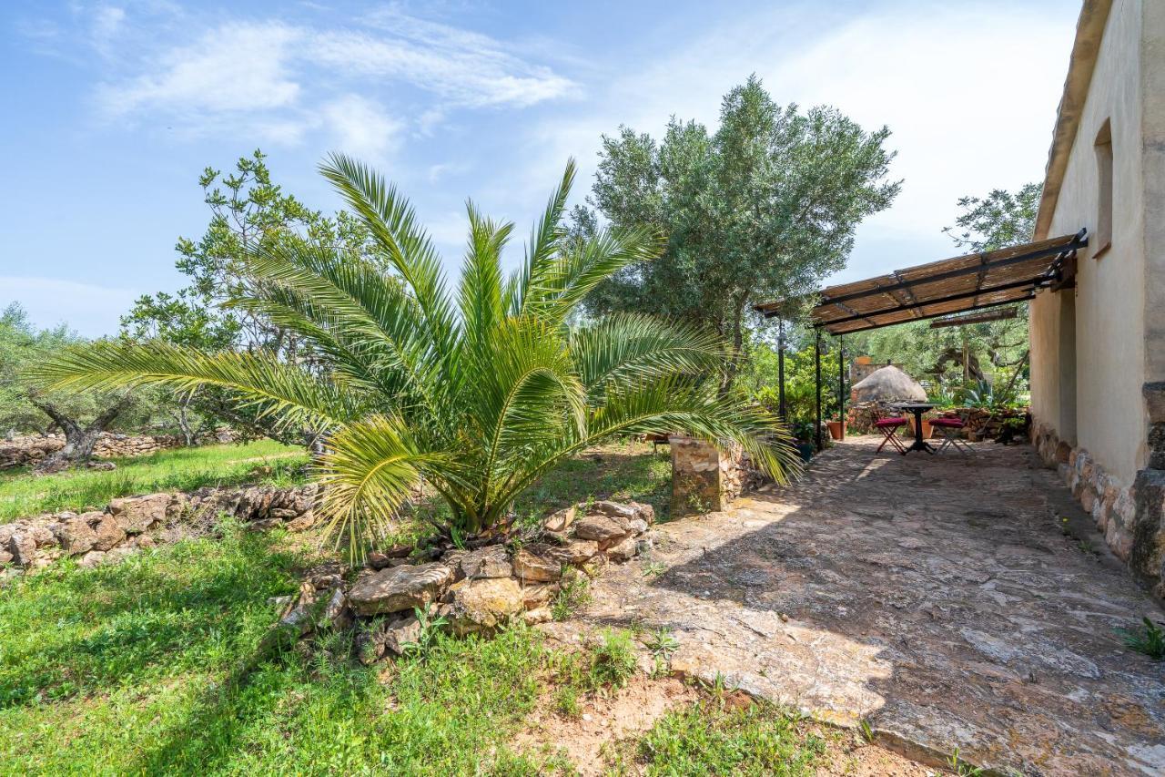 Casa En Olivera A 3 Km De La Costa El Perelló エクステリア 写真