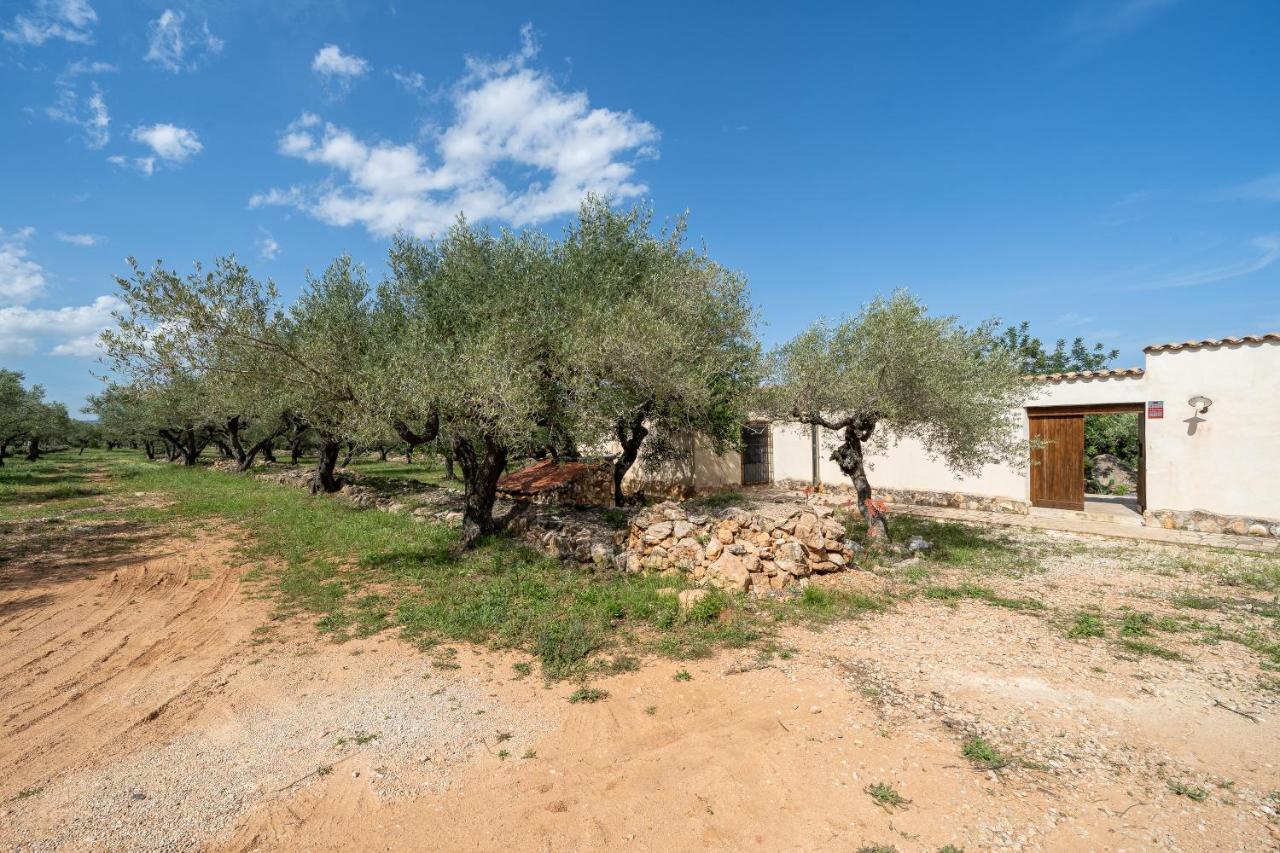 Casa En Olivera A 3 Km De La Costa El Perelló エクステリア 写真